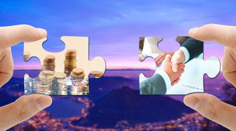 债券型基金的法律风险