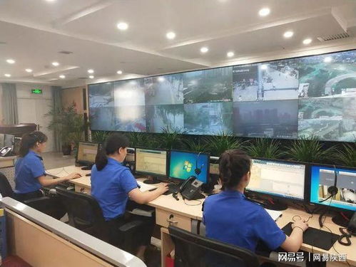 精准服务,提升基层治理成效